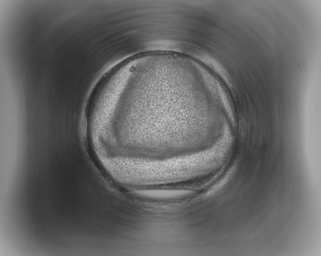 X0000103241125200809181538