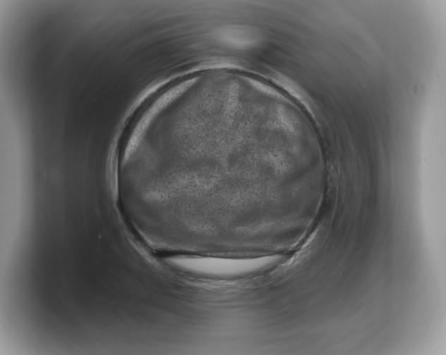 X0000103241127200809181538