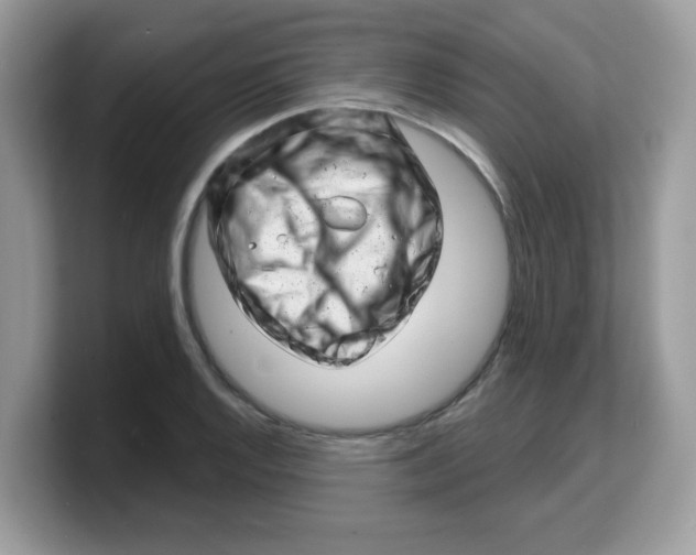 X0000103241128200809181538