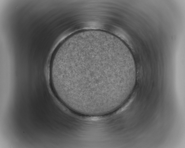 X0000103241130200809181538