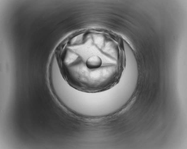 X0000103241134200809181539