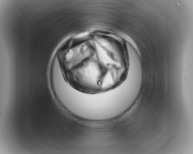 X0000103241138200809181539