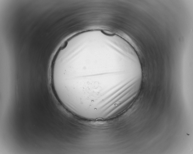 X0000103241140200809181539