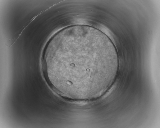 X0000103241141200809181539