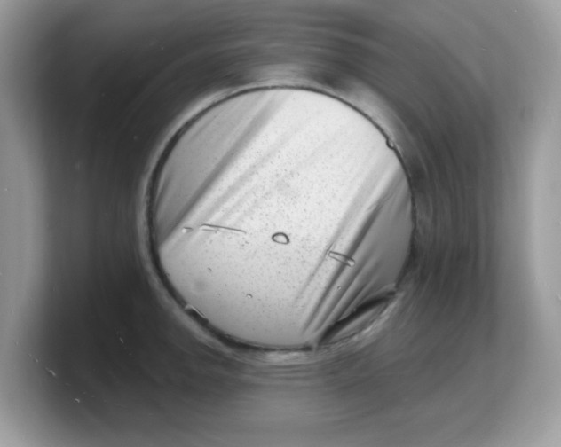 X0000103241142200809181539