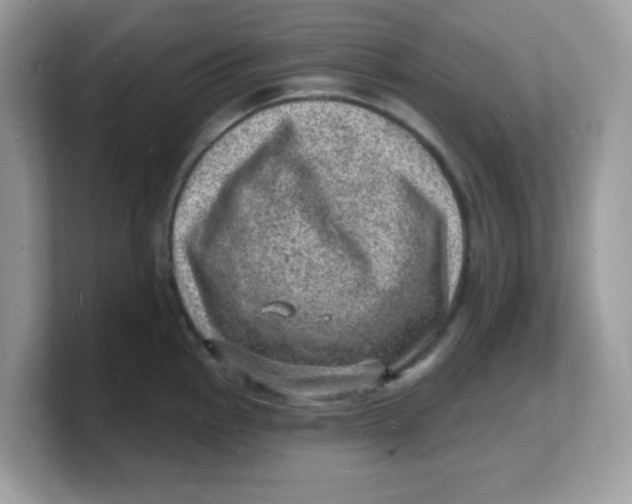 X0000103241145200809181539