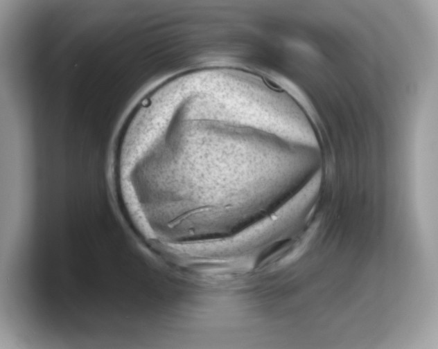 X0000103241149200809181539