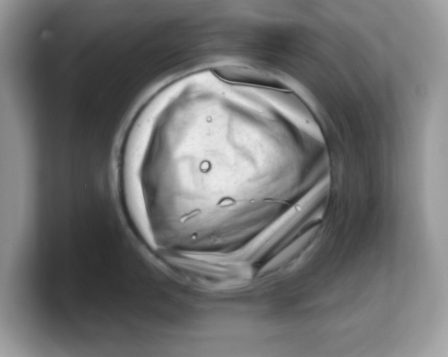 X0000103241151200809181539