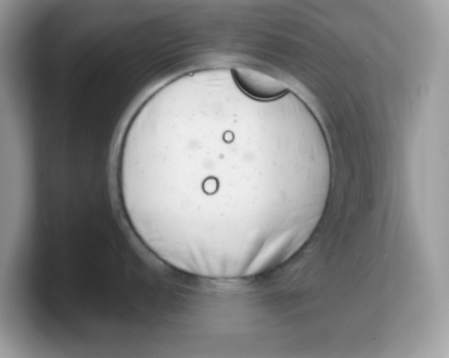 X0000103241152200809181539