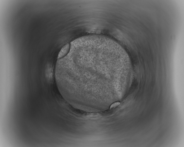 X0000103241154200809181538