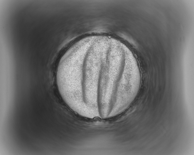 X0000103241160200809181538