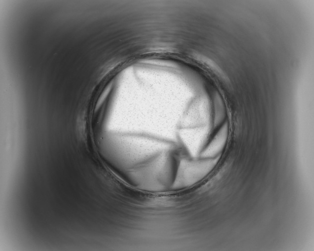 X0000103241162200809181538