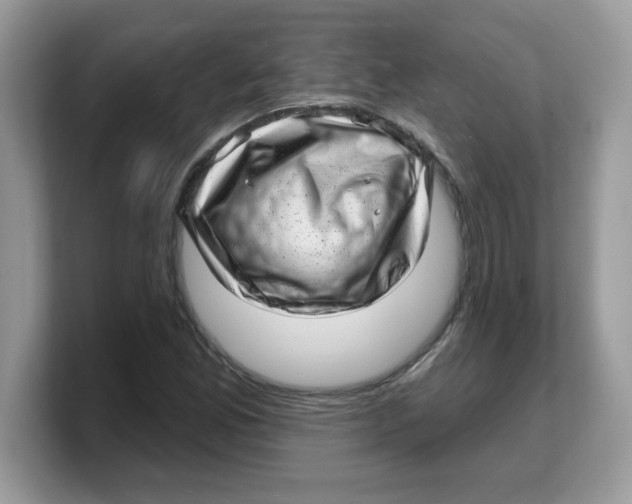 X0000103241165200809181538