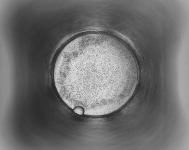 X0000103241168200809181538