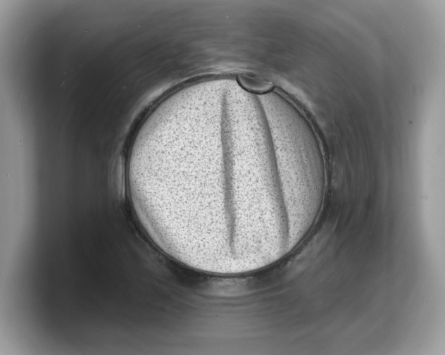 X0000103241171200809181538