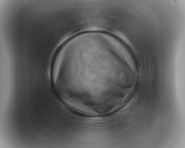 X0000103241173200809181538