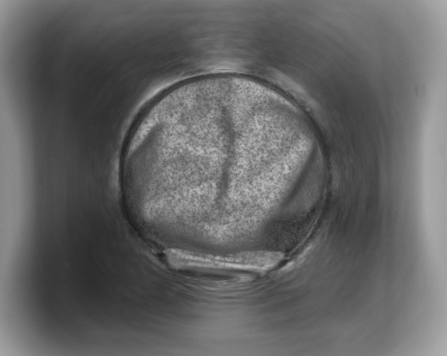 X0000103241174200809181538