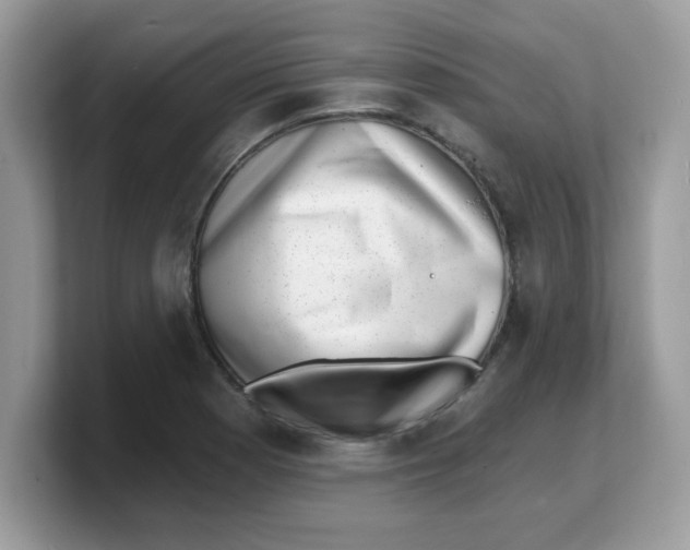 X0000103241177200809181538