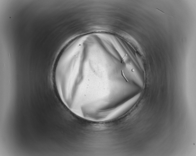 X0000103241182200809181538