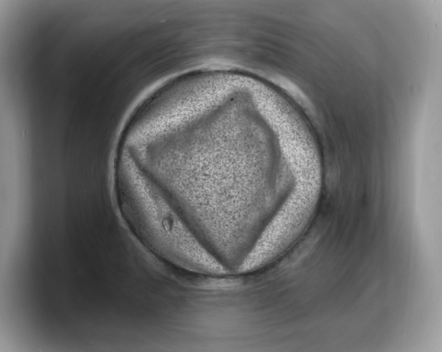 X0000103241183200809181538