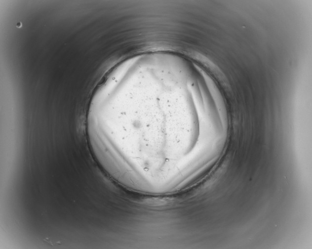 X0000103241185200809181538