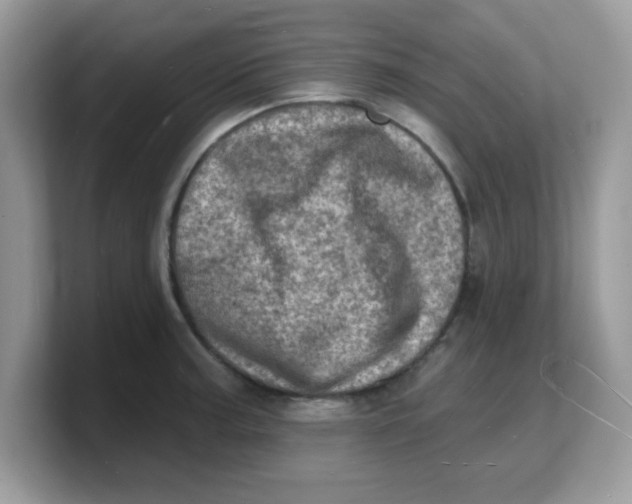 X0000103241187200809181538