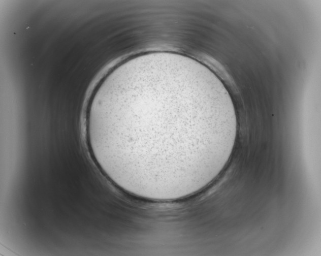 X0000103241188200809181538