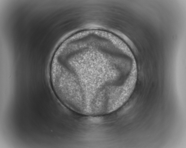 X0000103241191200809181538