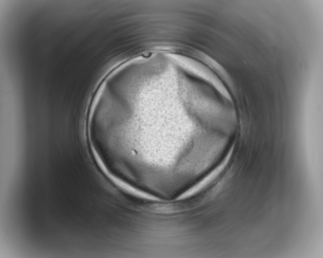 X0000103241194200809181538