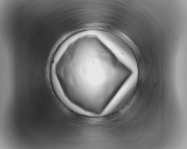 X0000103241196200809181538