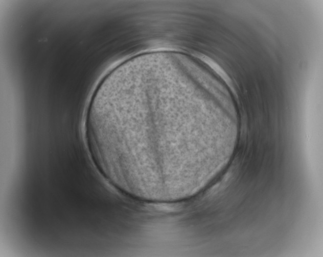 X0000103241197200809181538