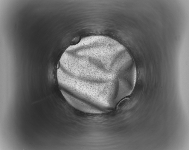 X0000103241202200809181537