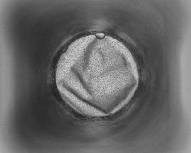 X0000103241208200809181537