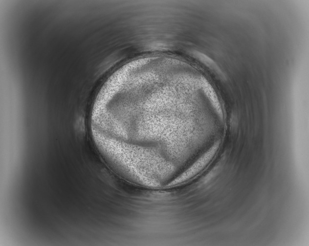 X0000103241209200809181537