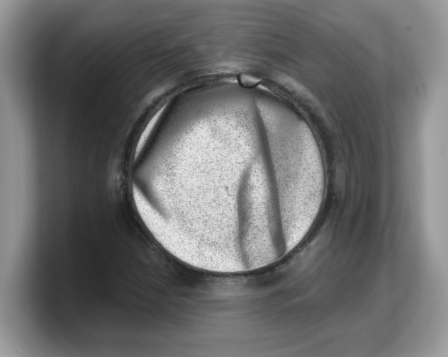 X0000103241210200809181537