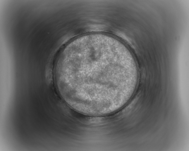 X0000103241211200809181537