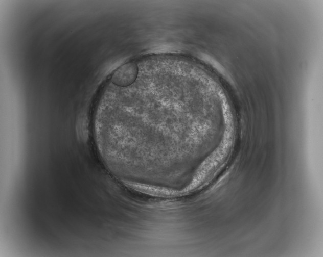 X0000103241213200809181537