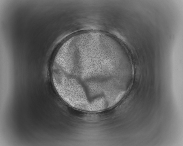 X0000103241215200809181537