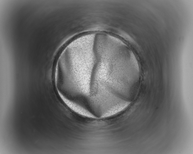 X0000103241216200809181537