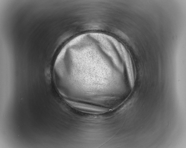 X0000103241218200809181537