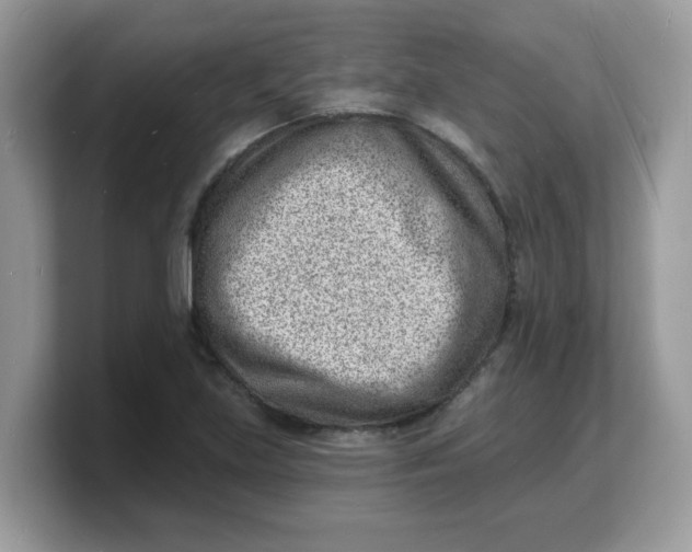 X0000103241219200809181537