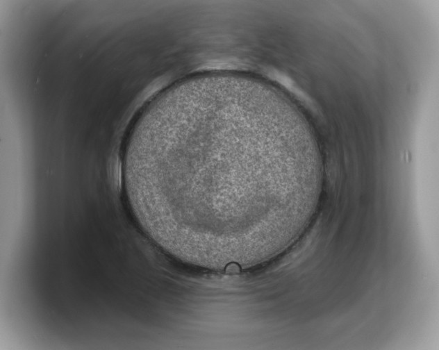 X0000103241221200809181537