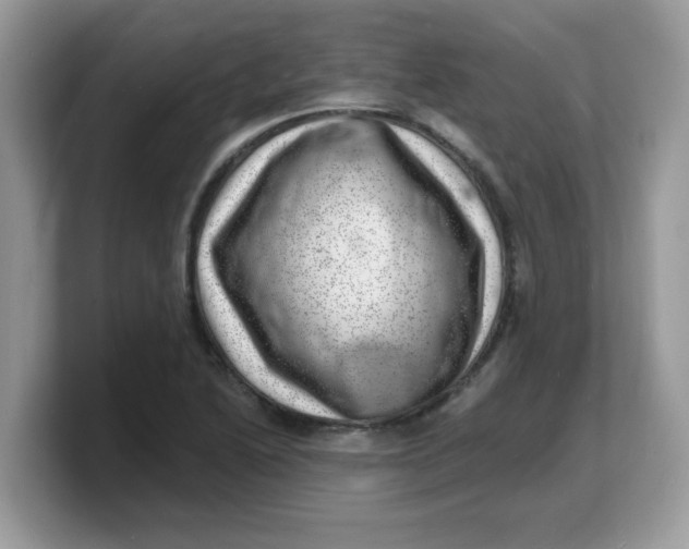 X0000103241222200809181537