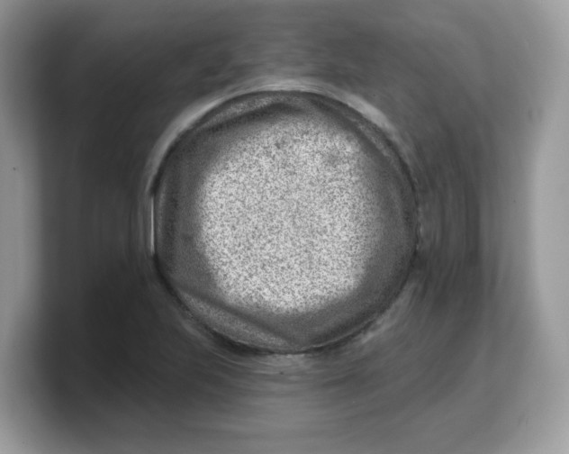 X0000103241223200809181537