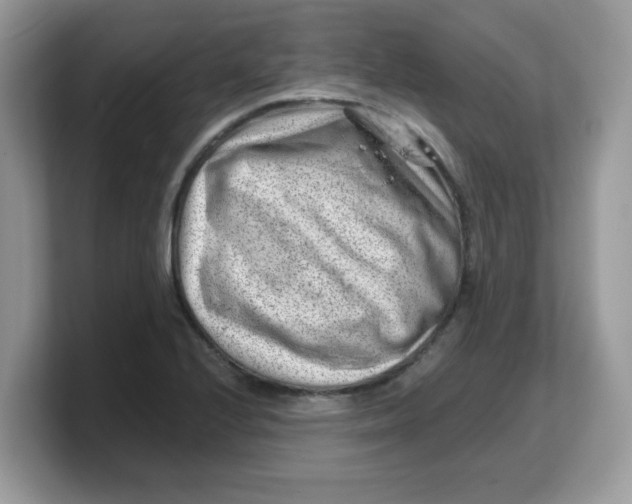 X0000103241224200809181537