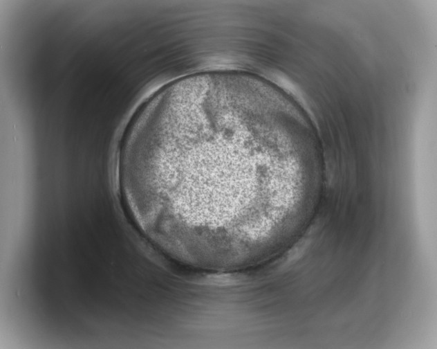 X0000103241227200809181537