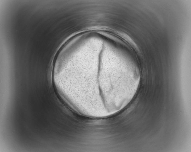 X0000103241228200809181537