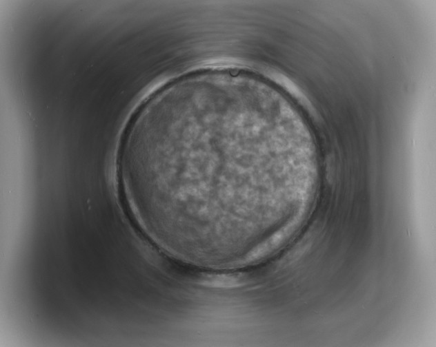 X0000103241229200809181537