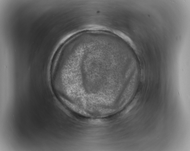 X0000103241231200809181537