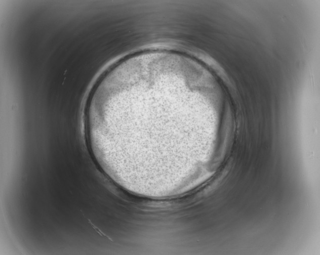 X0000103241232200809181537